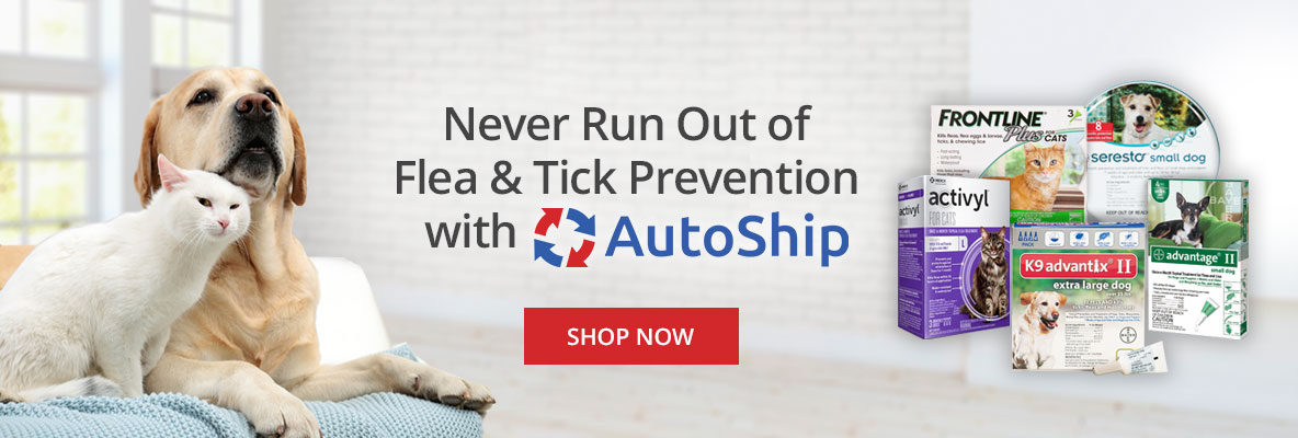 Never Run Out of Pet Flea & Tick Prevention with Autoship at DoMyOwn.com