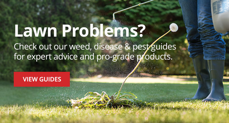 Do My Own - Do It Yourself Pest Control, Lawn Care, Gardening, Equipment &  Animal Care Products & Supplies