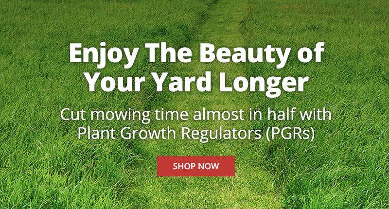 Enjoy the Beauty of your lawn longer - Cut mowing time almost in help with Plant Growth Regulators (PGRs) - Shop Now