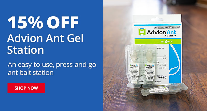 15% OFF Advion Ant Gel Station An easy-to-use, press-and-go ant bait station - SHOP NOW
