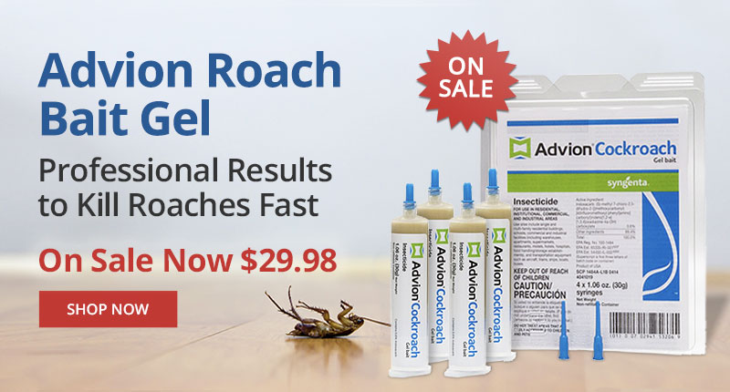 Advion Roach Bait Gel - Professional Results to Kill Roaches Fast - On Sale Now $29.99