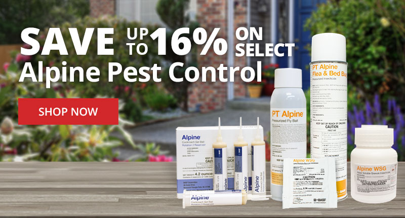 Save Up to 16% on Select Alpine Pest Control