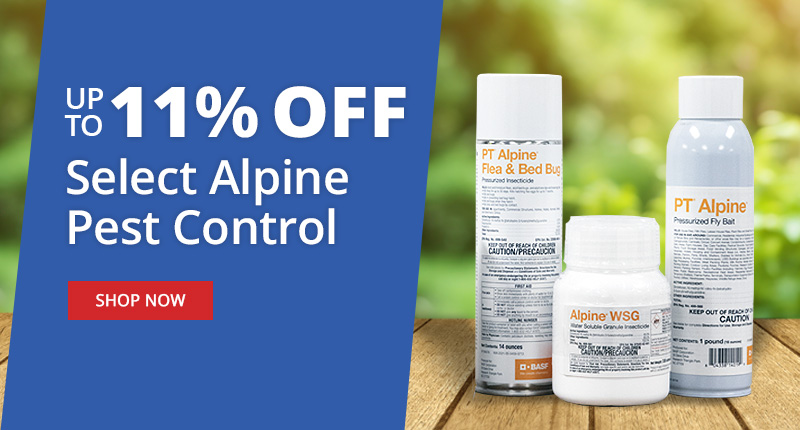 Up to 11% Off Select Alpine Pest Control - SHOP NOW