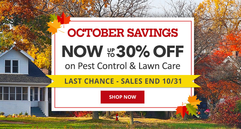 Ends 10/31 - October Savings - Now up to 30% off On Pest Control and Lawn Care |SHOP NOW|