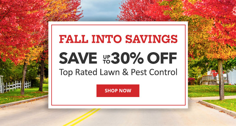 Fall into Savings Save up to 30% off Top Rated Lawn & Pest Control |SHOP NOW|