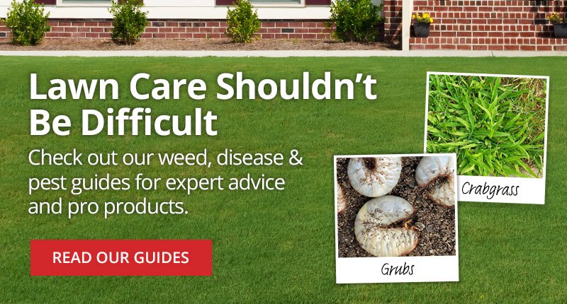 Lawn Care Shouldn't Be Difficult - Shop Now