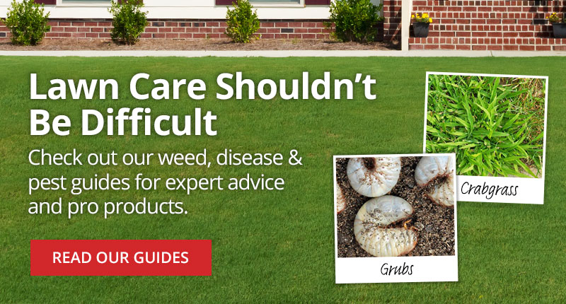 Check out our weed, disease, & pest guides for expert advice and pro-products -Read our guides
