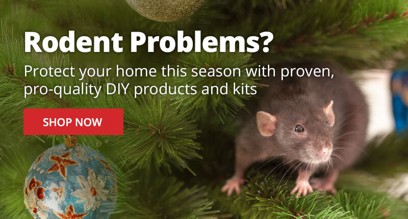 Rodent Problems? Protect your home this season with proven, pro-quality DIY products and kits -Shop Now