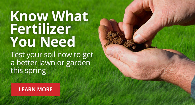 Test Your Soil to Know What Type of Fertilizer Your Lawn or Garden Needs