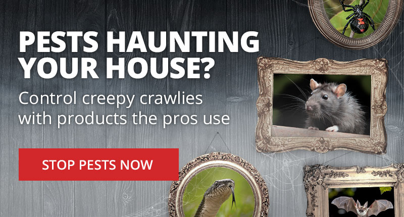 Pests Haunting Your House? - No need to scream. Control creepy crawlies with products the pros use - Shop Now