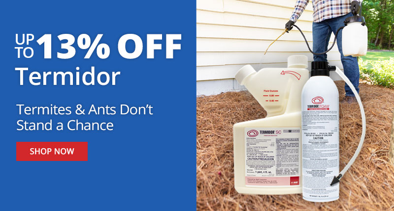 Up to 13% Termidor - Termites & Ants Don't Stand a Chance - Shop Now