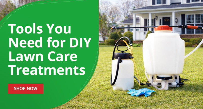 Tools You Need for DIY Lawn Care Treatments - Shop Now