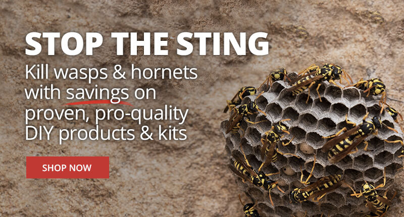 Stop The Sting - Kill wasps & hornets with savings on proven, pro-quality DIY products & kits - Shop Now