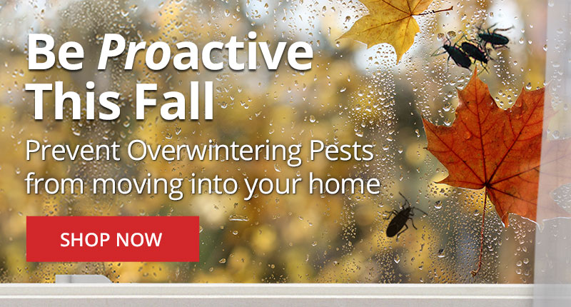 Be Proactive this Fall - Prevent overwintering pests from moving into your home - Shop Now