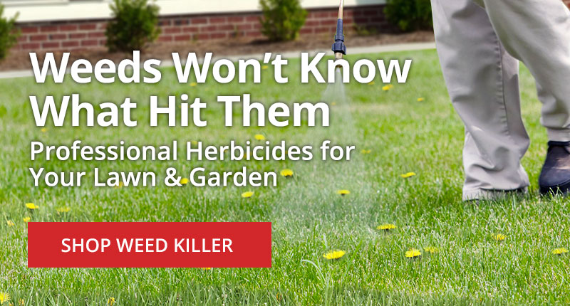 Shop Professional Post-Emergent Herbicide Weed Killers for Your Lawn & Garden - Shop Now