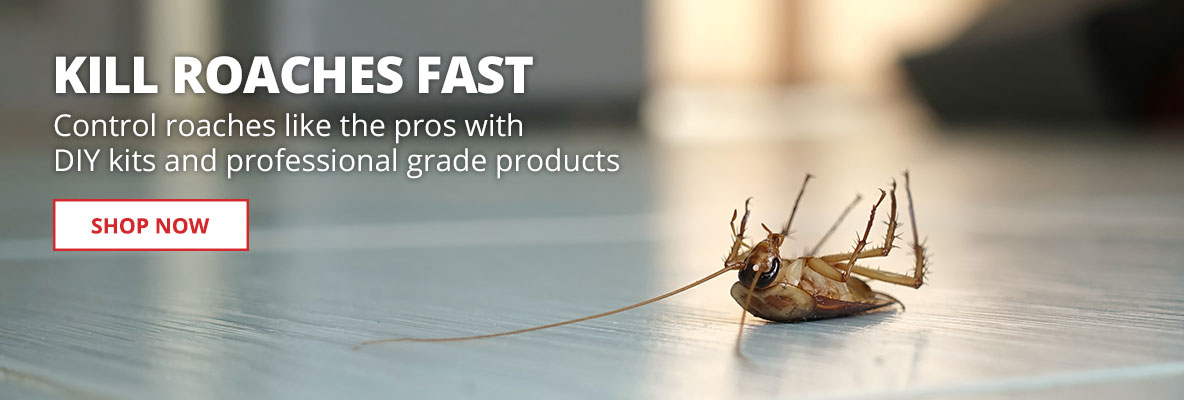 Kill Roaches Fast - Control roaches like the pros with DIY kits and professional grade products