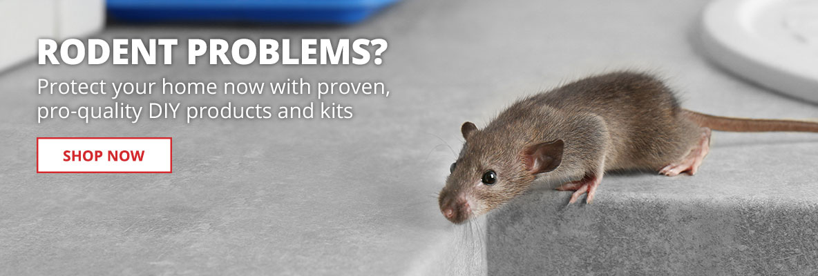 Rodent Problems? Protect your home now with proven, pro-quality DIY products and kits