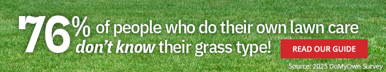 76% of people who do their own lawn care don't know their grass type! READ OUR GUIDE