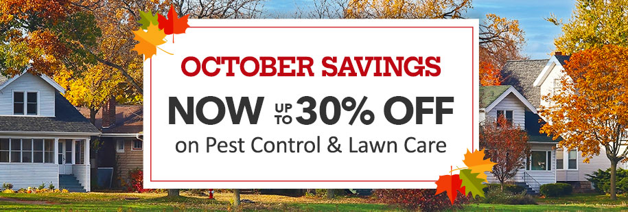 October Savings Now up to 30% Off on pest control and lawn care