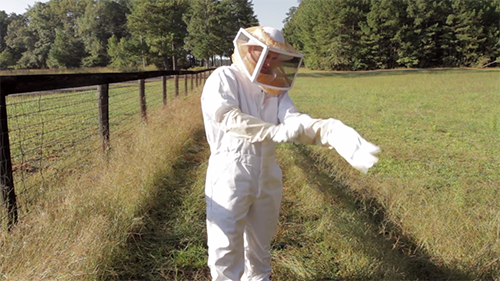Man putting on bee suit
