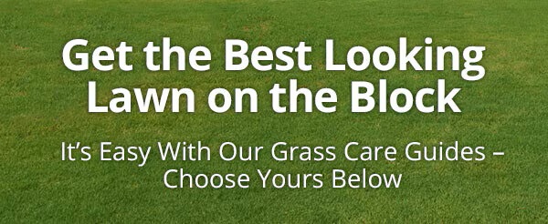 Get the Best Looking Lawn on the Block - Its Easy with Our Grass Care Guides - Choose Yours Below