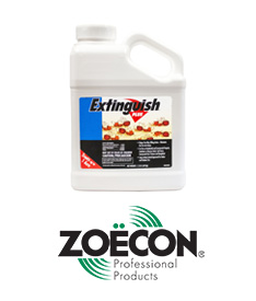 Shop Brand ZOECON