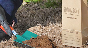 Learn How To Test Your Soil