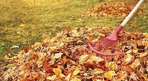 How to Care for Your Lawn in the Fall