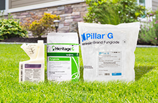 <strong>Fungicide Buyer's Guide</strong>