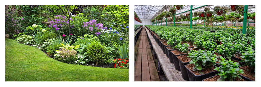 Two photos of a landscaped area of a yard and the interior of a greenhouse