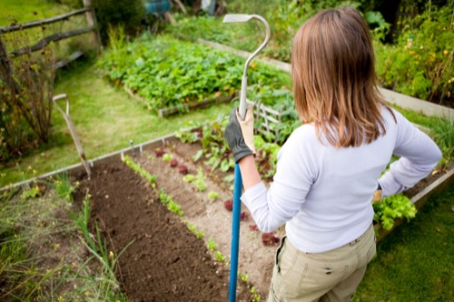 Image of a woman considering the area of her garden plot