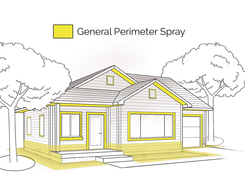 Diagram showing where to apply pest control around the house to control stink bugs