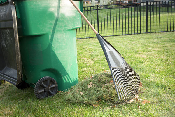 Image showing a garbage can with a rake and lawn clippings nearby