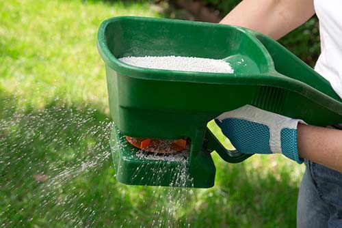 Image of a person spreading granular fertilizer