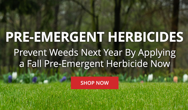 Pre-Emergetn Herbicides - Prevent Weeds Next Year By Applying a Fall Pre-Emergent Herbicide Now |SHOP NOW|