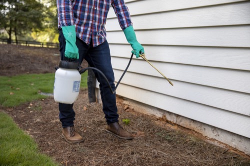 house centipede spraying preventative pest insecticide