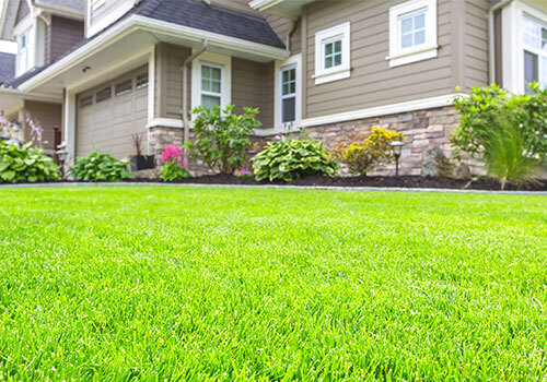 house with green lawn
