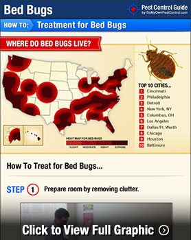 Bed Bug Exterminator In Columbus Ohio