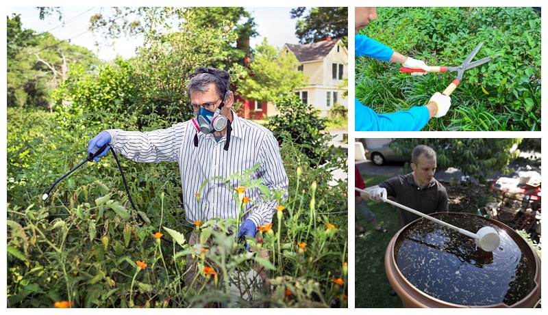 Image montage of various ways to prevent mosquitoes around the home