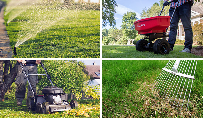 Image montage of good lawn care practices