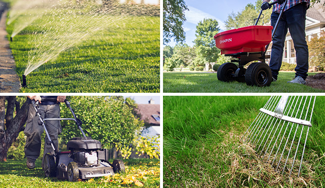 montage of proper lawn maintenance