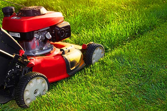 a lawnmower cutting grass