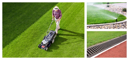 montage showing healthy lawn practices