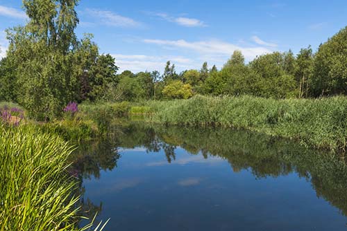 pictures of lakes and ponds