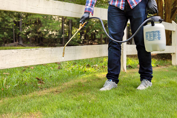 How To Add Iron Your Lawn