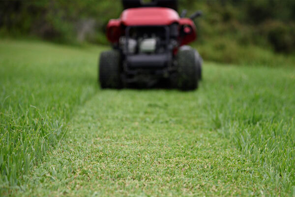 A photo of a lawnmower cutting the grass of a lawn, taken from a low angle