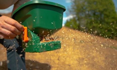 A photo of a handheld spreader being used to spread seeds across a lawn.