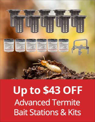 Up to $43 Off Advance Termite Bait Stations & Kits