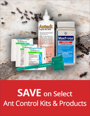 Save on Select Ant Products & Kits