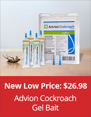 New Low Price: $26.98 - Advion Cockroach Gel Bait